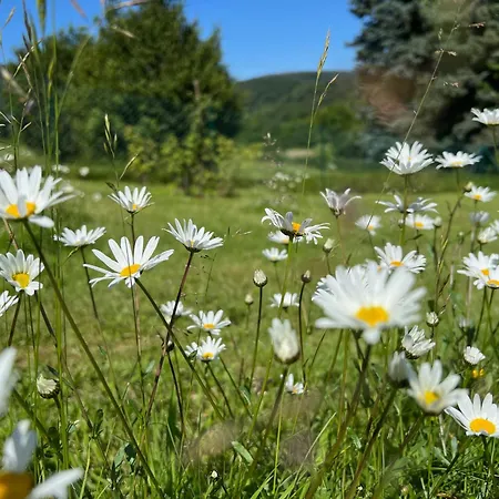 Eifelone - Panorama * Heimbach