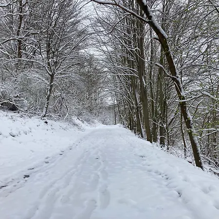 Eifelone - Panorama *