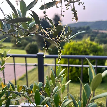 Eifelone - Panorama