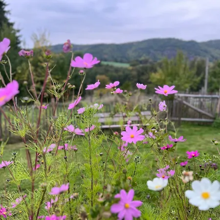 Eifelone - Panorama 度假居