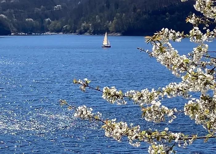 Feriehus Eifelone - Panorama