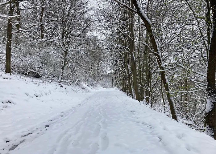 Eifelone - Panorama *