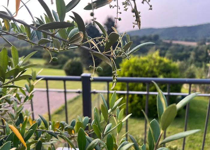 Eifelone - Panorama