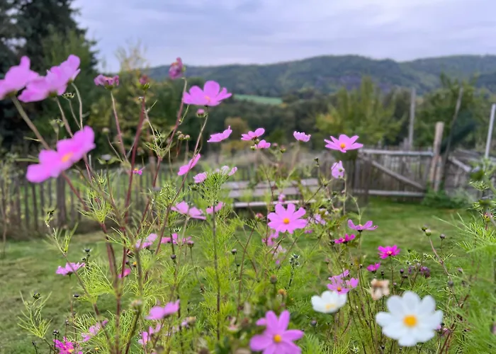 Eifelone - Panorama Feriehus