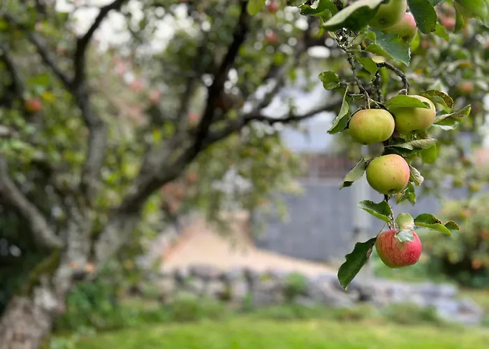Eifelone - Panorama Heimbach